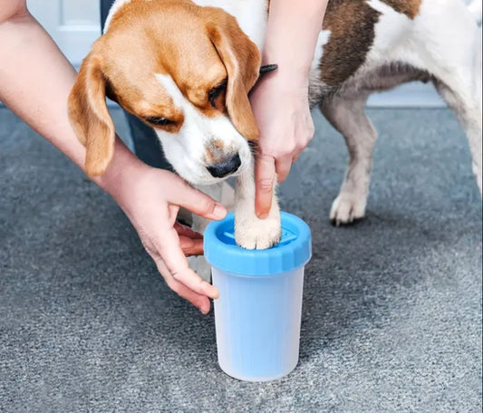 cana portabila pentru spalarea picioarelor